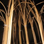 IMG_8758
